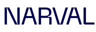 Narval Advisory